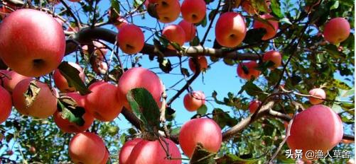 辽宁省大连知名农产品,辽宁省农产品地理标志产品都有啥