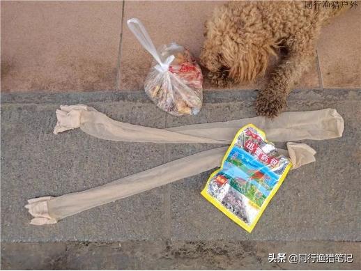 钓鱼无口怎么办教你一招,钓鱼有鱼不开口怎么钓