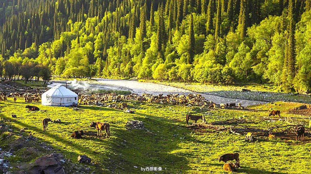 独库公路通车攻略,独库公路官宣