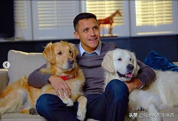 本赛季唯一能拯救曼联的人,他用自己的巅峰拯救了曼联的低谷