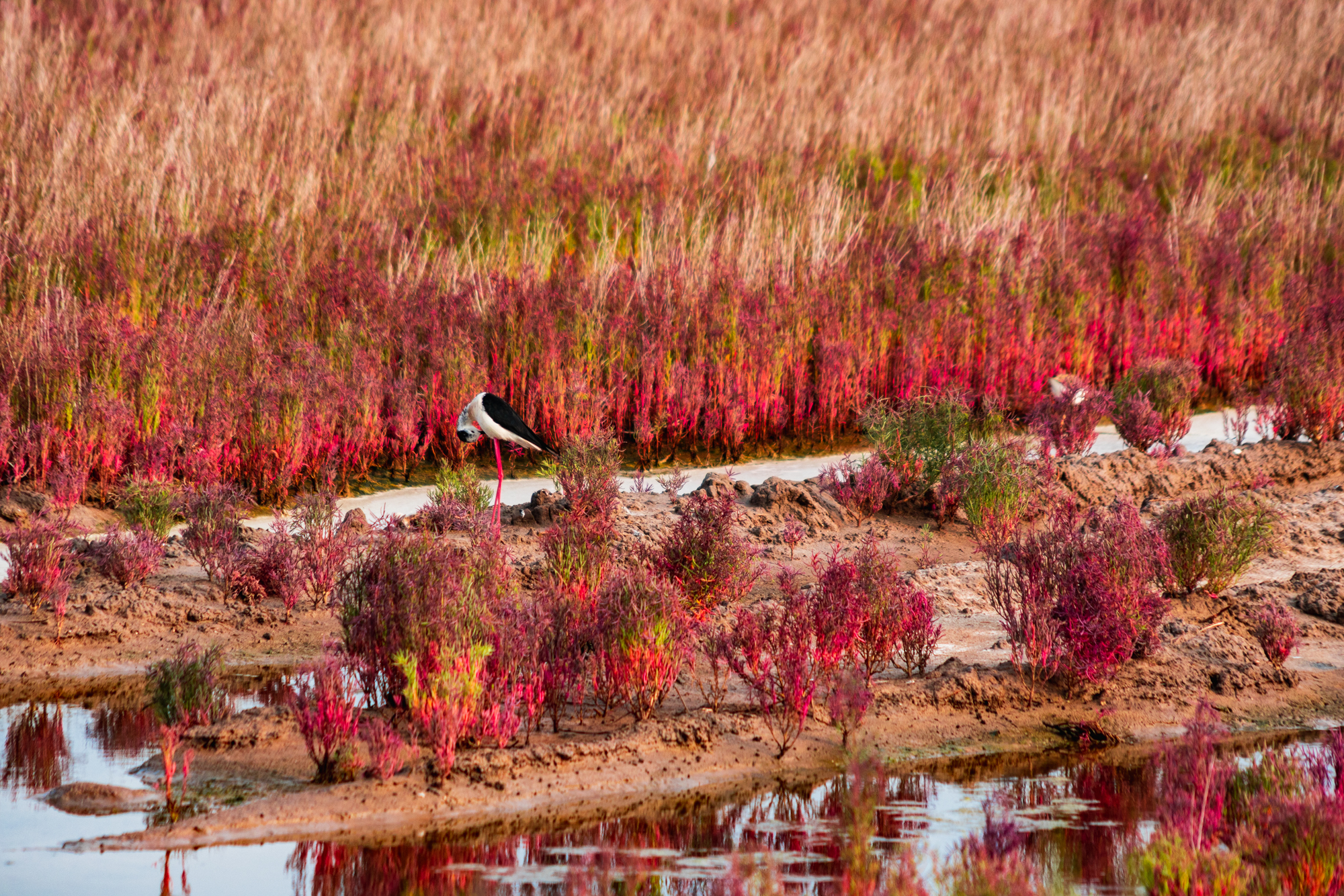 唐山适合1-4岁亲子游的地方,暑假遛娃旅游推荐唐山