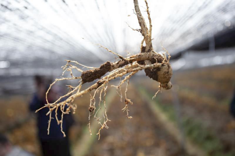 行走在乡村的感悟,行走在乡间感悟