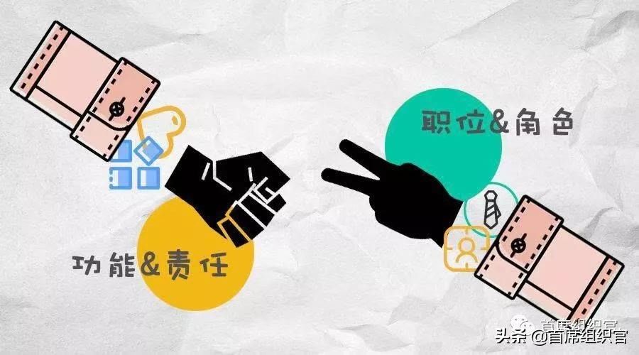 首席运营官coo什么地位,首席运营官coo是什么职位