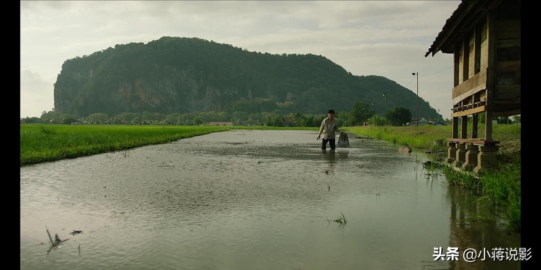 1983经典恐怖片降头,最新降头恐怖片