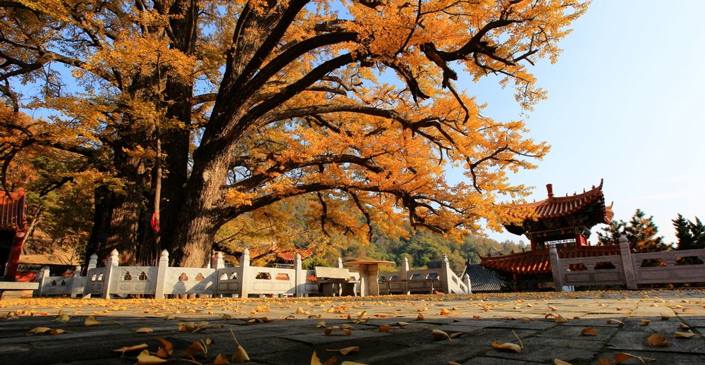 千年古刹鲁山文殊寺,鲁山文殊寺景区