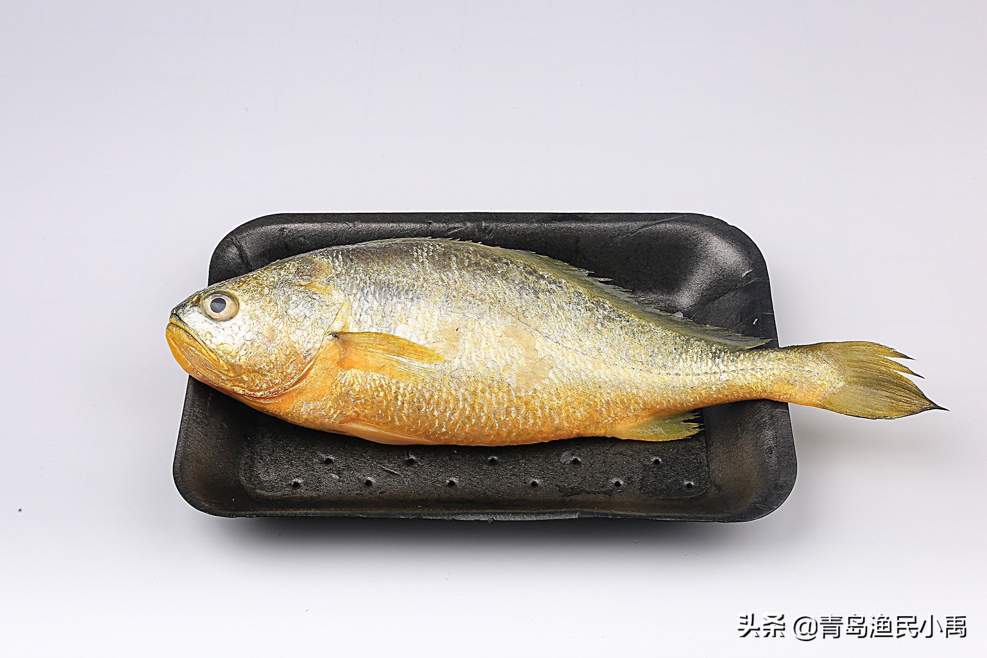 野生大黄鱼最大值多少钱,野生大黄花鱼为啥那么贵