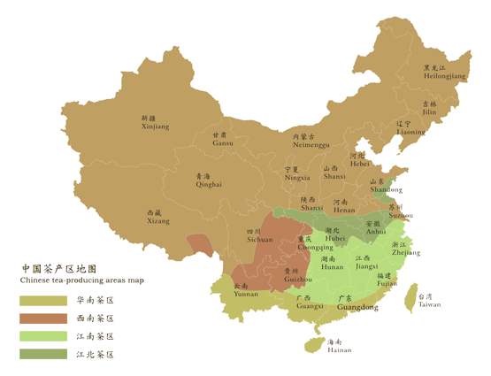 去山东除了“哈啤酒”，还能喝点啥？海岸绿茶了解一下