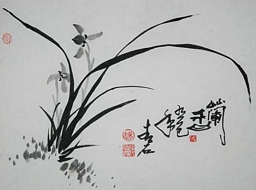 兰花诗句100首隶书,淡雅芬芳的兰花与人生感悟