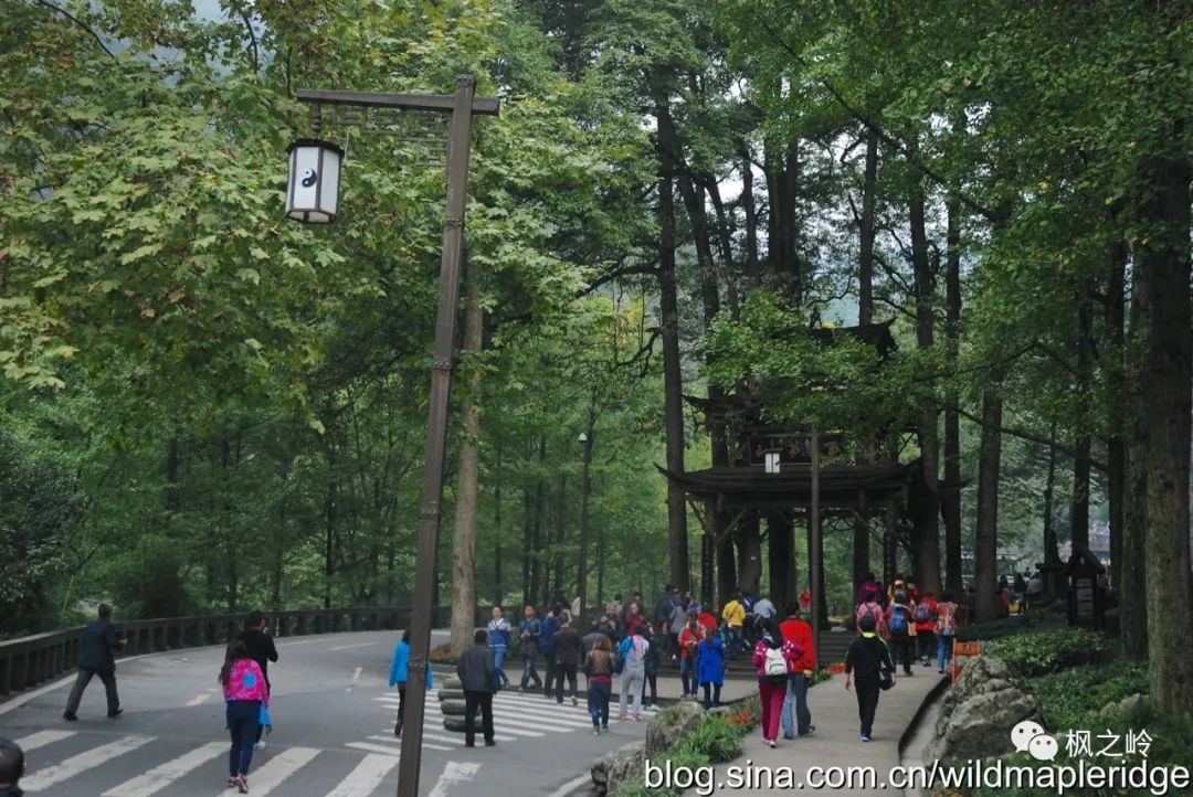 四川青城山问道,问道青城山最新消息