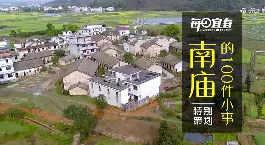 非物质文化遗产南庙武术,中国武术之乡十大排名