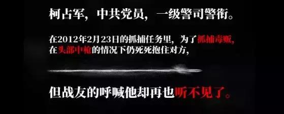 揭秘破冰行动背后真实大案,破冰行动原型案件警力