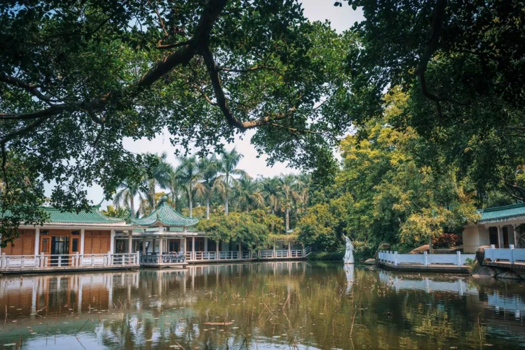 厦门酒店推荐及价格表,厦门什么酒店便宜又好