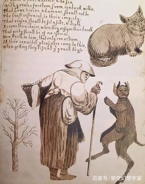 猫咪的迷惑行为历史版,可爱的猫咪黑历史