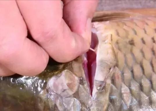 阳朔啤酒鱼的最正宗的做法,阳朔啤酒鱼最正宗的做法