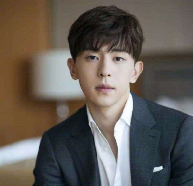 万万没想到，这些明星出自石家庄的学校