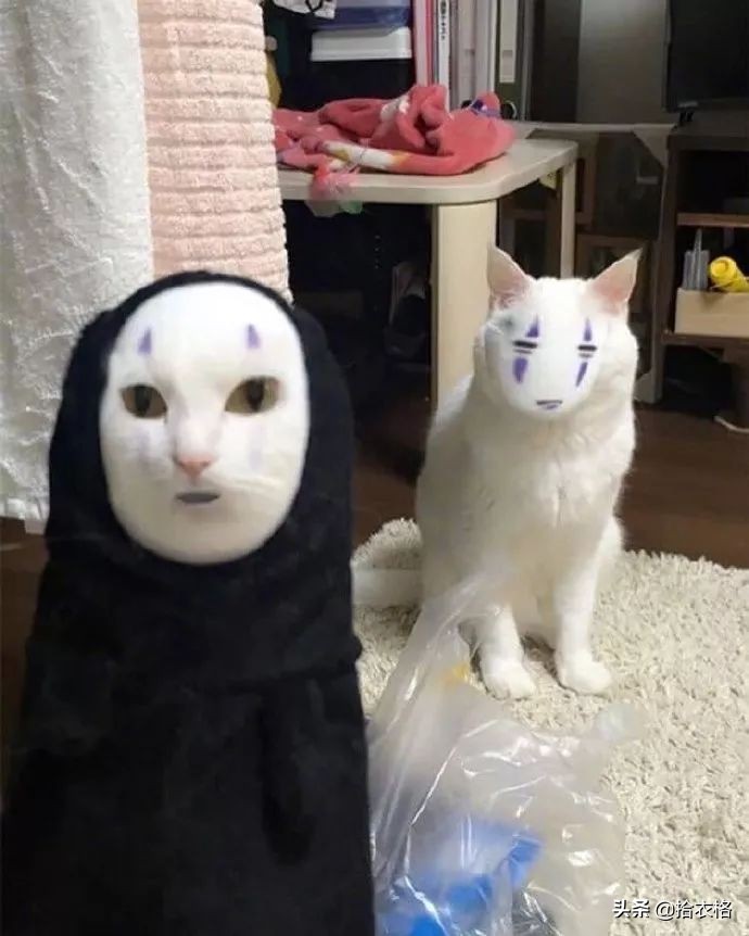 “女友网购了一件紧身裙子，这也太紧了吧！谁能顶得住啊…”