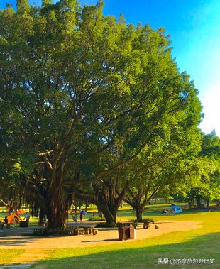 东莞植物园美丽好风景,东莞植物园有什么景色