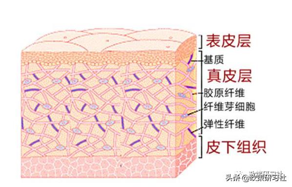 韩国医美深度分析,国家对医美行业的政策分析
