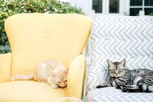 10大赚钱副业摆地摊卖什么最赚钱,做一个摆地摊的姑娘该如何入手