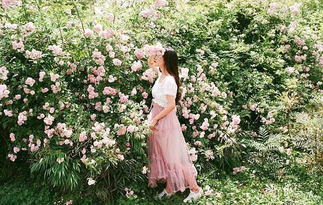 满架蔷薇一院香，开到荼靡花事了