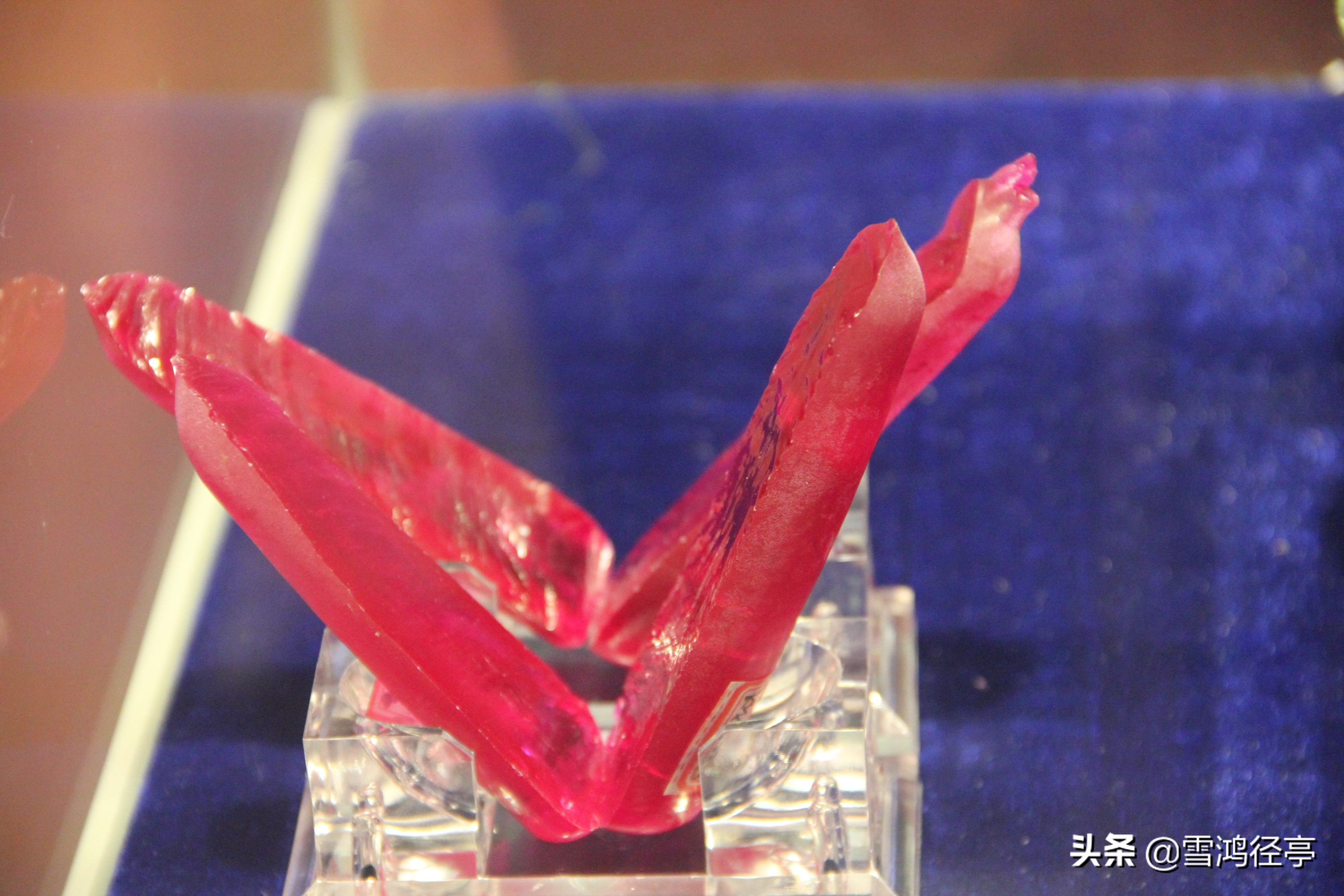 112首诗词中，这些词语您家孩子理解对了吗？（三）