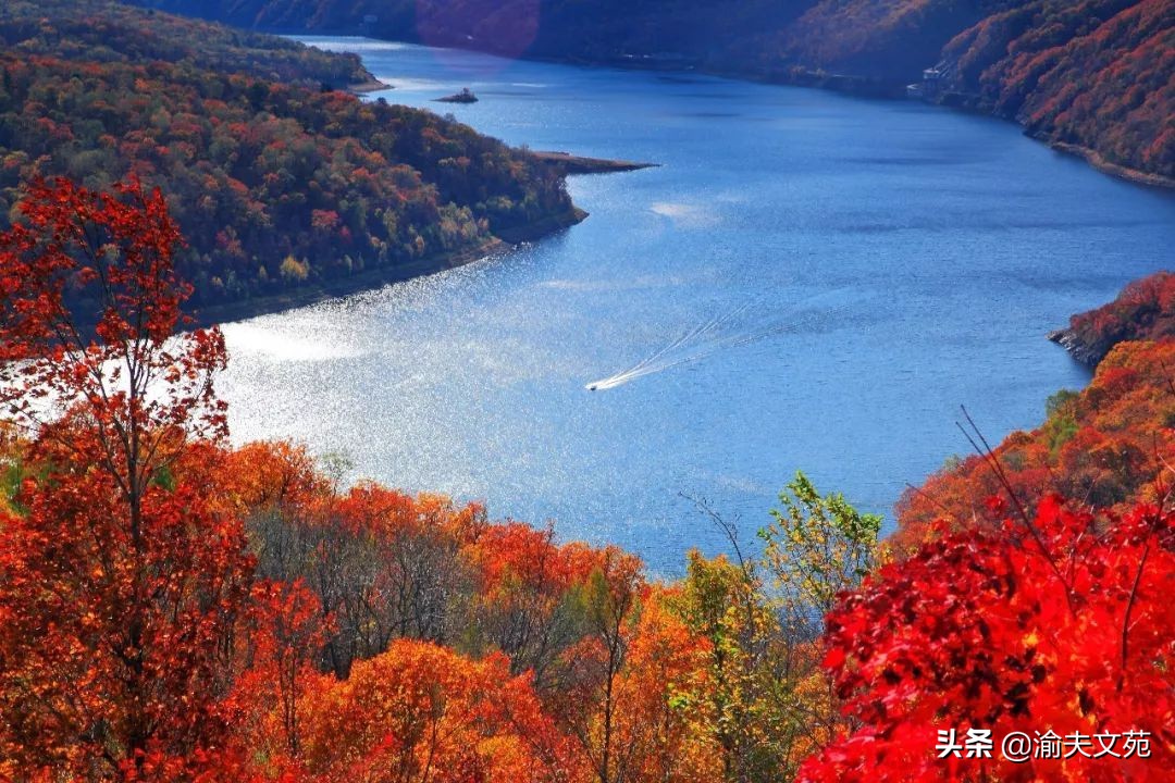 「走遍河山」大美吉林04：风情万种在延边