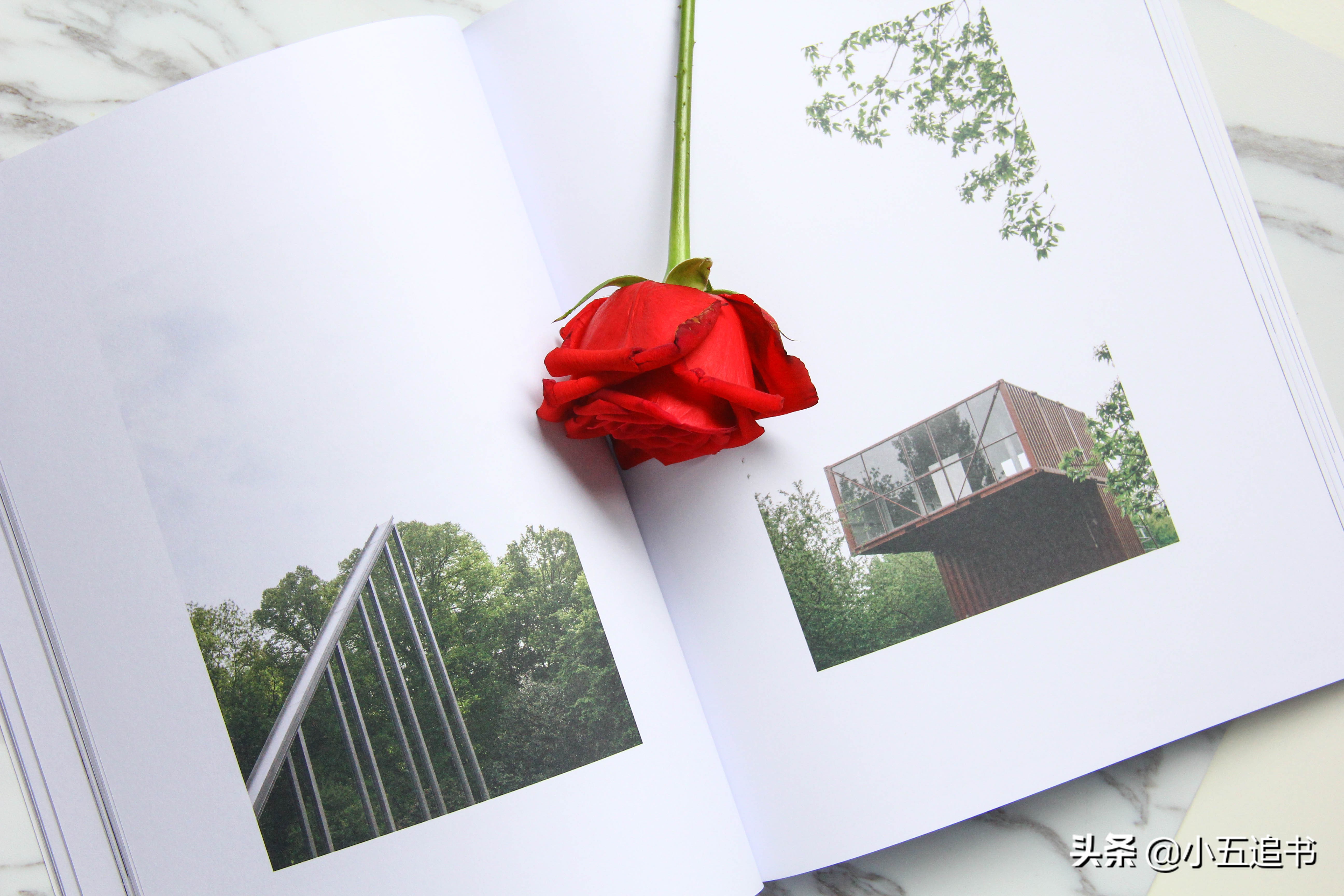 女汉子倒追小伙子全集,甜甜的女追男的初恋小说推荐