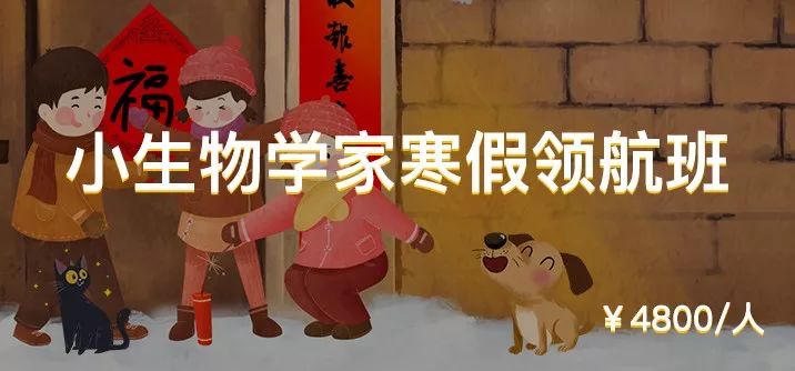 一群博士硕士，动不动“鬼混”到半夜，却干成了件人人称赞的事