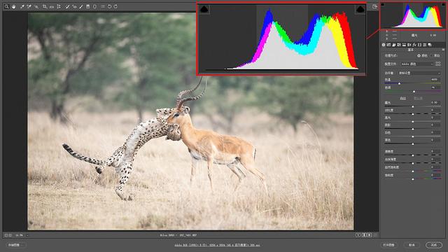 尼康d850完全摄影指南,尼康d850大变焦镜头推荐