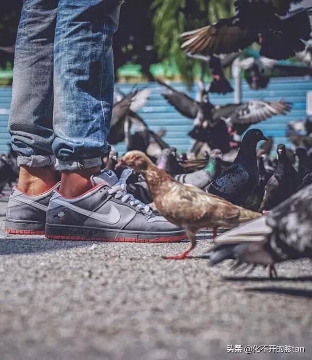 鐩茬洰璺熼涔伴瀷,鐩茬洰璺熼鐞冮瀷