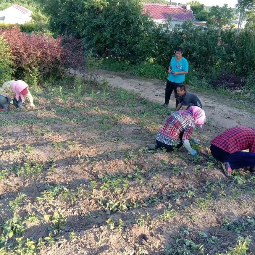从跑龙套逆袭成最佳女主角,从跑龙套逆袭成女主角