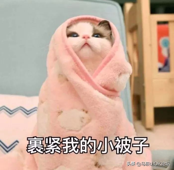 马鞍山过山车气温,马鞍山气温升降