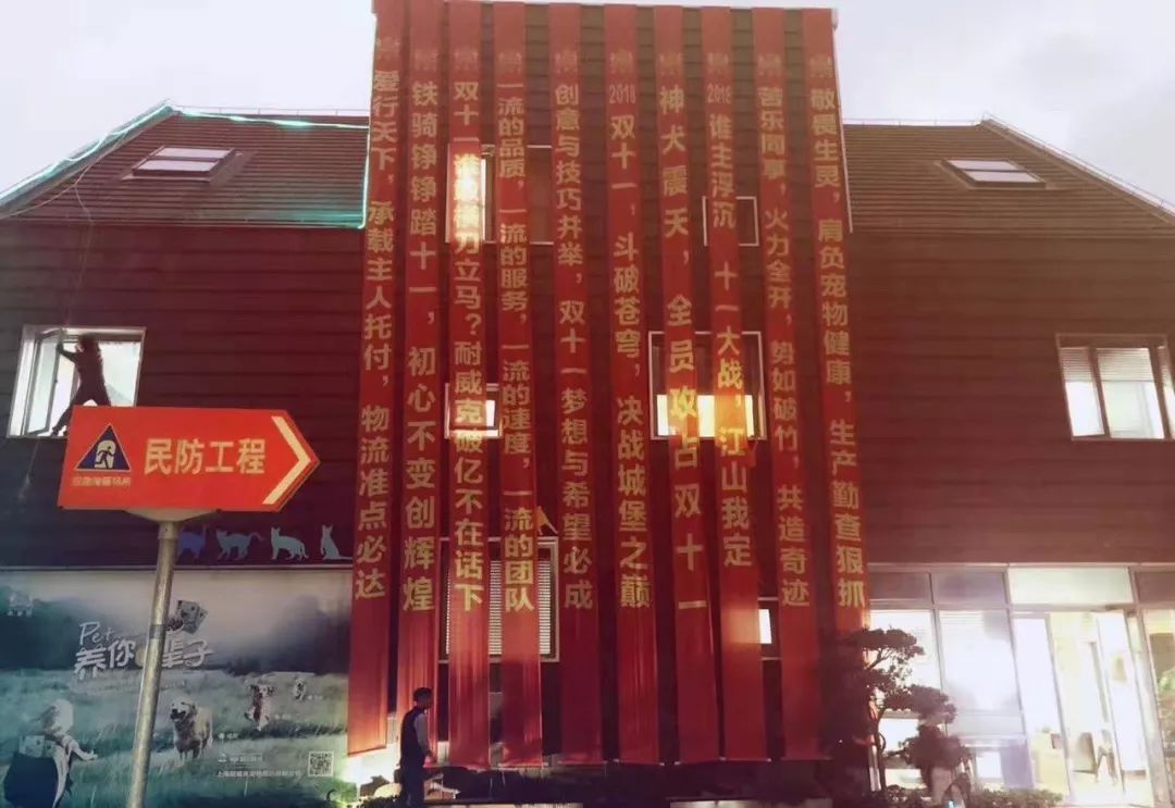 开宠物食品店创业,70后老板开店