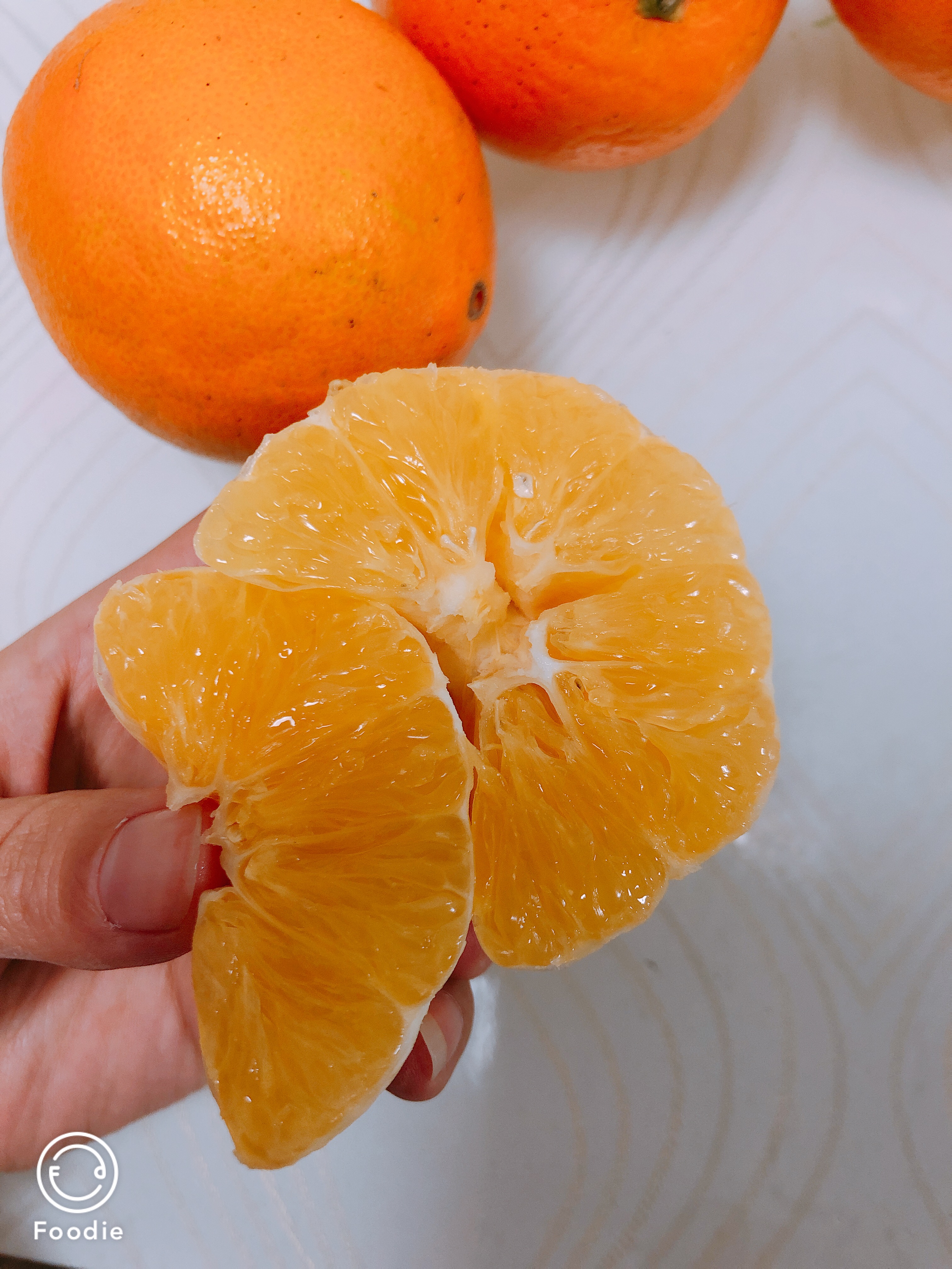 橙子有公母之分怎样挑选,橙子分类视频