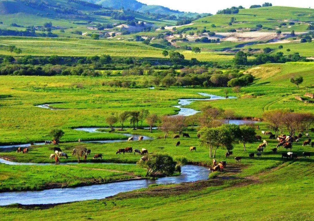 潍坊大草原4天旅游攻略,潍坊草原旅游自驾参团