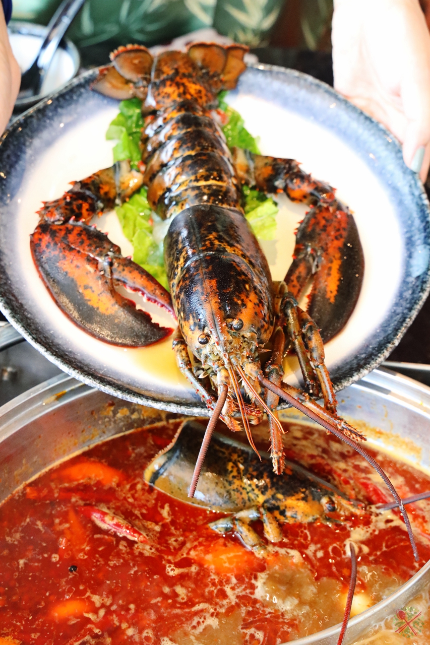 邮轮旅行哪里最好玩,广州南沙邮轮母港附近打卡点