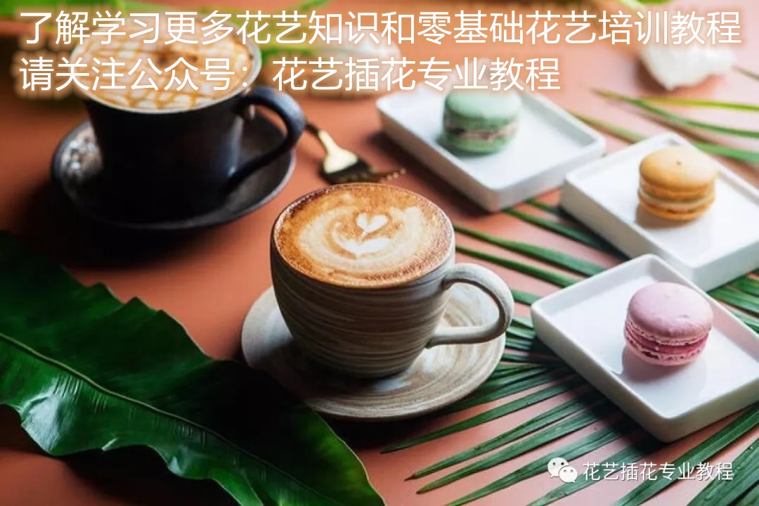 如何开好花店花店经营者必看,怎么开一家赚钱的花店店铺呢