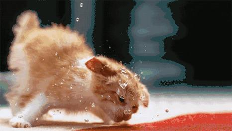 手机摄影也有干货！帮你拍出满意的动态小视频~