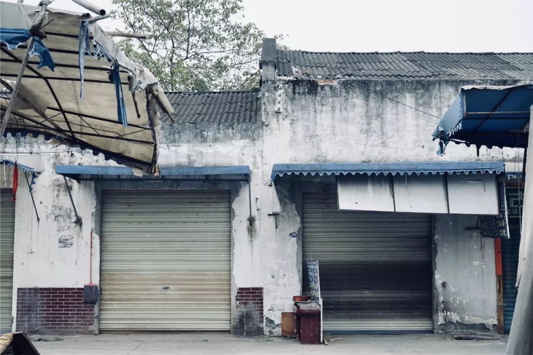 成都黄田坝鸟市,成都黄田坝鸟市图片