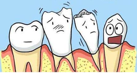 牙齿松动，难以避免的中年危机？慌了