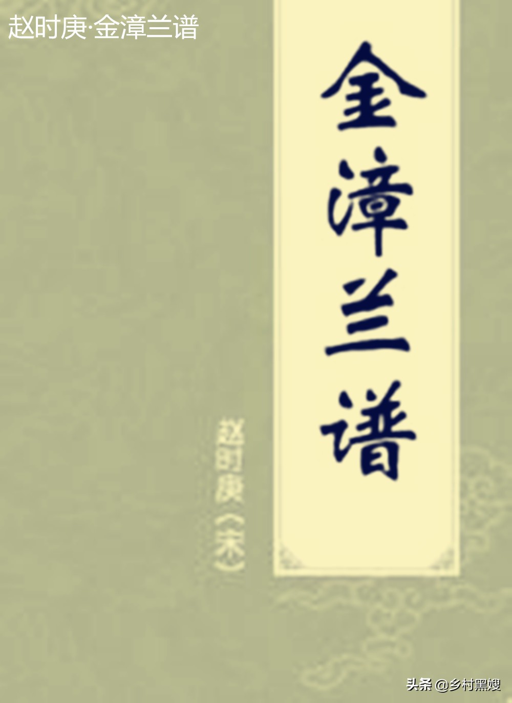 空谷幽兰的兰花是什么品种,蝴蝶兰空谷幽兰