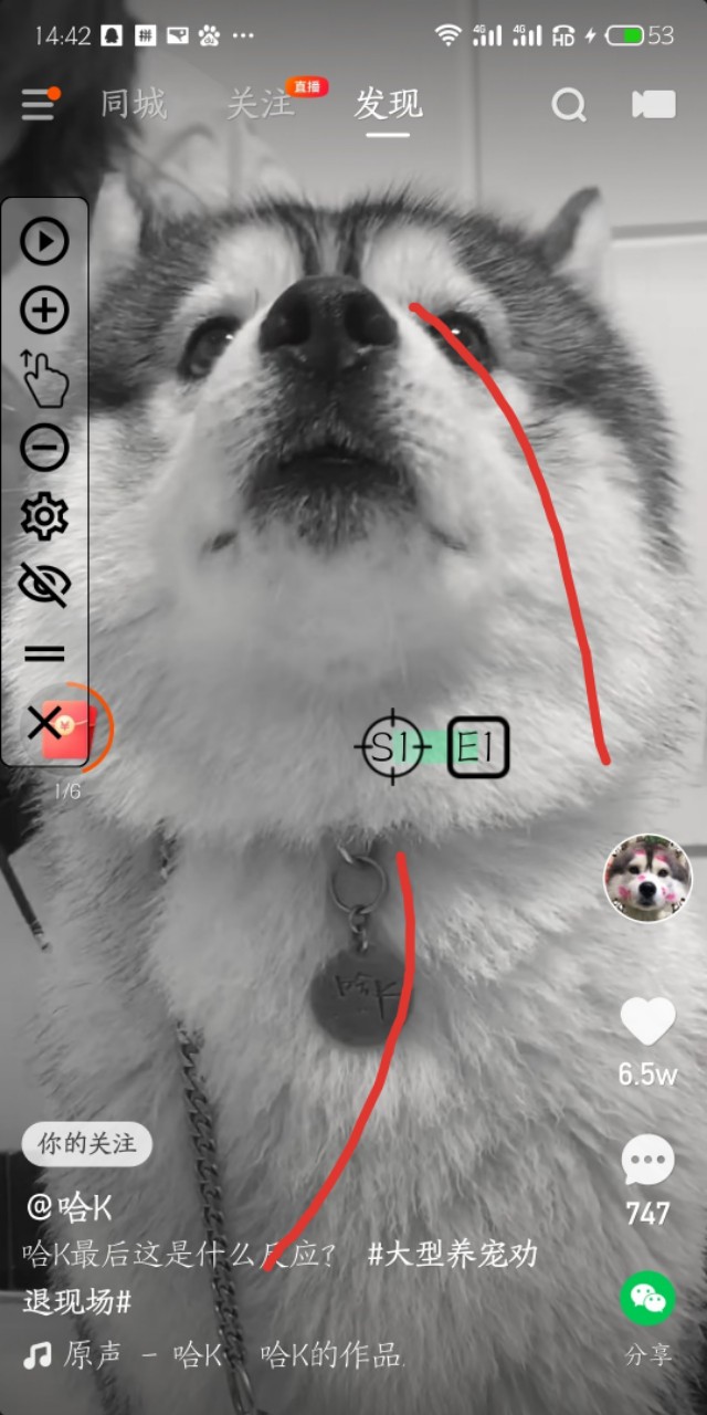 想全自动挂机赚钱吗，进来我教你