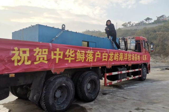 回乡创业4年开办养殖场,返乡农民工创业养鱼致富