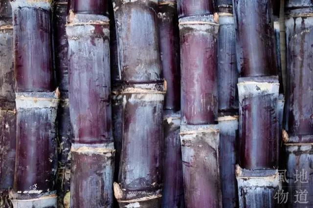 为什么有眼光的人来广西都会买这9种东西？