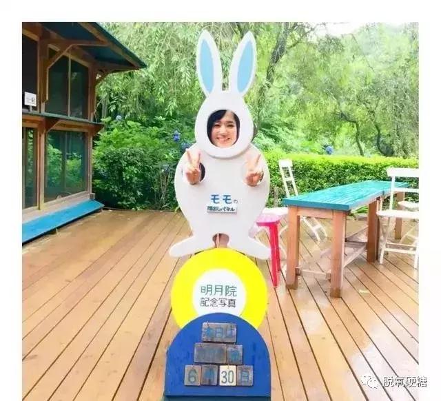 苍井空将为人母，却遭一万次辱骂：脱了衣服就别想穿起来！