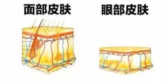 眼部护理大揭秘改善眼纹,眼部眼纹保养
