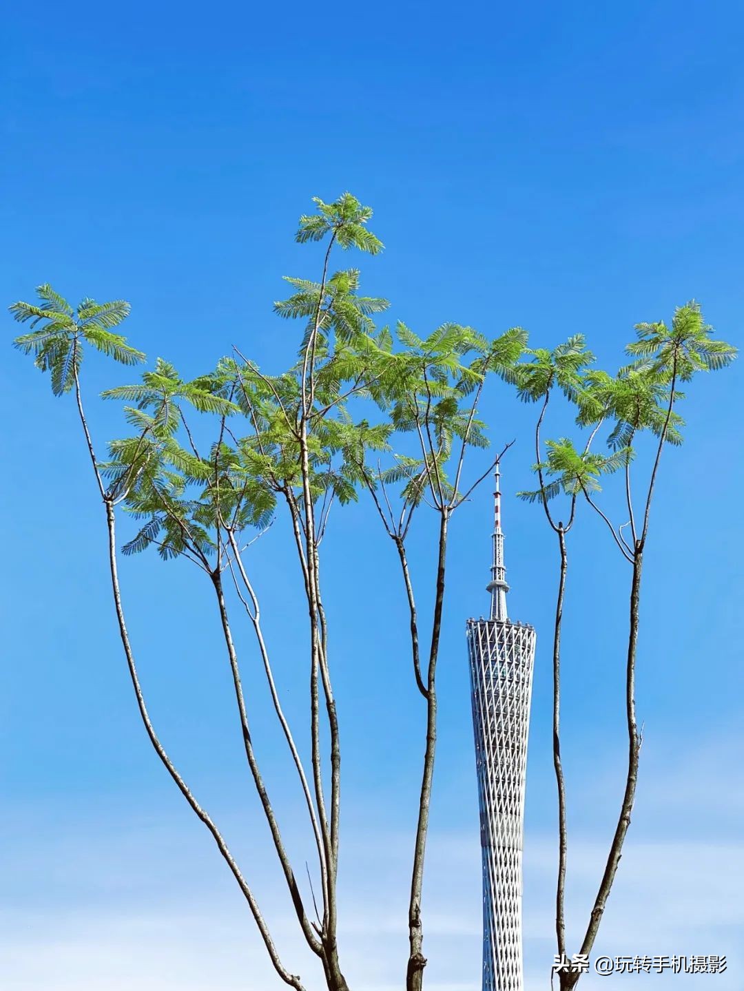 游客照不会拍一定要学会这几个,教你不出门拍各地旅游照片