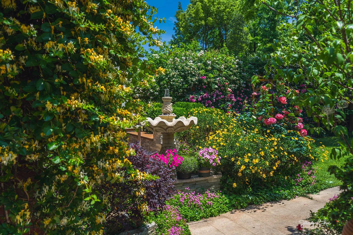 一百五十斤大胖子减肥记,猪猪减肥记录