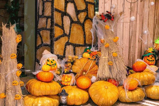 长隆欢乐玩圣节，保姆级鬼混攻略，倒计时两周