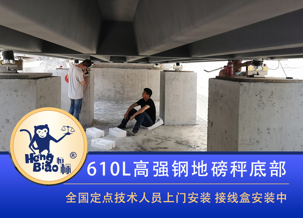 电子磅秤多少钱一台,家用电子磅多少钱一台